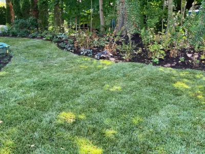 Nurney Landscape - Paver Installation in Buckingham, PA