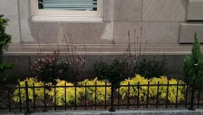 Landscape Designers NY by NY Plantings Irrigation And Landscape Lighting