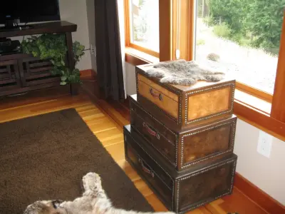 By Design - Interior Design & Decorating in Yelm, WA