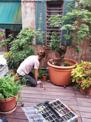 NY Plantings Irrigation and Landscape Lighting - Landscape Construction in Manhattan, KS