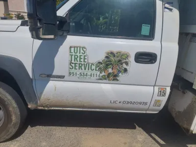 Luis Tree Service & Landscaping - Tree & Shrub Care in Corona, CA