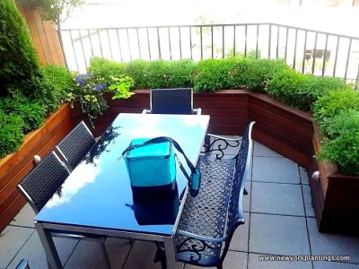 NYC Roof Garden: Terrace Deck, Wood Planter Box, Fence, Containers, Irrigation by NY Plantings Irrigation And Landscape Lighting