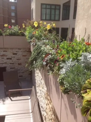 New York Roof Top Garden Designs - New York Plantings by NY Plantings Irrigation And Landscape Lighting