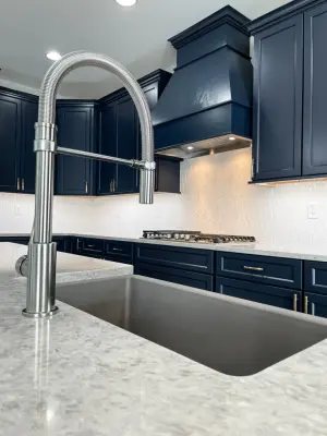The Waterleaf Avenue Initiative — Home Renovation & Remodeling Services project by Vater Construction