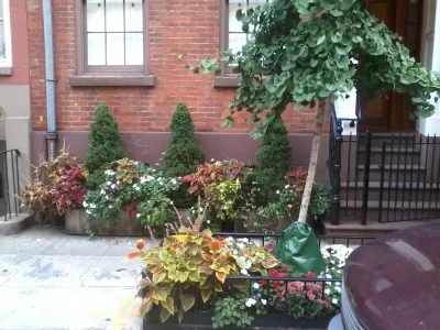 Best Patio Designer NYC - NYPLANTINGS — Landscape Construction project by NY Plantings Irrigation And Landscape Lighting