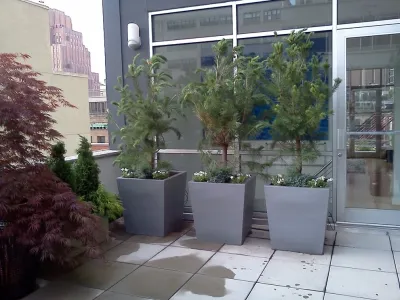 NY Plantings Irrigation and Landscape Lighting - Landscape Construction in Manhattan, KS