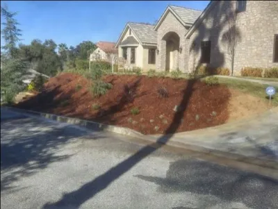 O & R Landscaping - Tree & Shrub Care in Yucaipa, CA