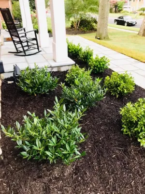 O'Grady's Landscape - Landscape Maintenance in Falls Church, VA