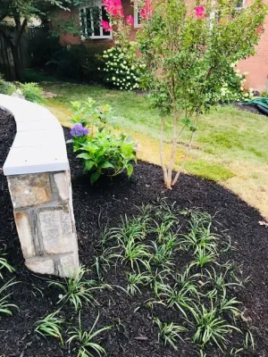 O'Grady's Landscape - Landscape Maintenance in Falls Church, VA