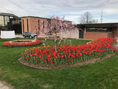 O'Hara Landscape / Lawn Care, Inc. - Lawn Aeration in Saint Louis, MO