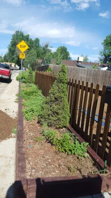 Oakes Yard and Garden Design - Tree & Shrub Care in Littleton, CO