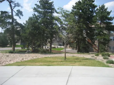 Oakes Yard and Garden Design - Tree & Shrub Care in Littleton, CO