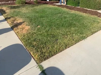 Artificial Grass | Installation with Before & After Pictures — Landscape Construction project by Oasis Turf & Hardscape in Corona