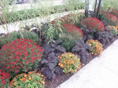 Ogden's Design and Plantings, Inc. - Landscape Maintenance in St. James, NY