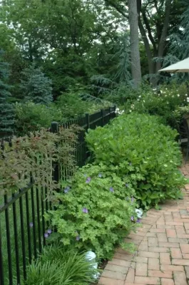 In the Sun — Landscape Construction project by Ogden's Design And Plantings, Inc.