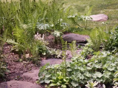 Ogden's Design and Plantings, Inc. - Landscape Maintenance in St. James, NY