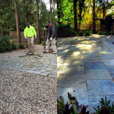 Margolis Companies - Tree & Shrub Care in Superior Charter Township, MI