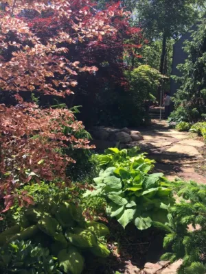 Omaha Landscaping Company - Landscape Maintenance in Omaha, NE