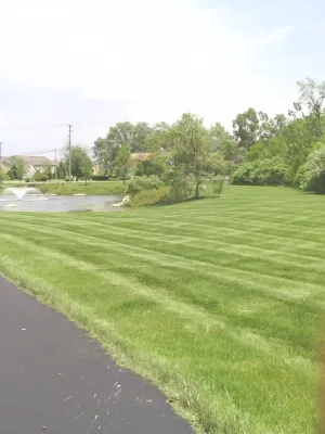 OneLove Lawn - Landscape Maintenance in Grove City, OH