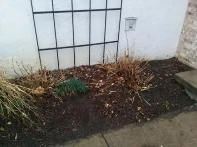 OneLove Lawn - Landscape Maintenance in Grove City, OH