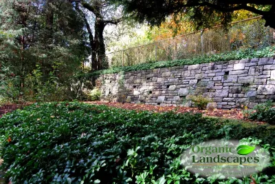 Organic Landscapes NY by DeLuca Lawn Maintenance - Lawn Aeration in Bedford, NY