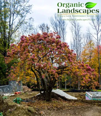 Flowers — Landscape Construction project by Organic Landscapes NY By DeLuca Lawn Maintenance