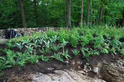 Organic Landscapes NY by DeLuca Lawn Maintenance - Lawn Aeration in Bedford, NY