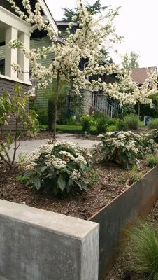 Ravenna Concrete and Steel Retaining Wall — Landscape Construction project by Orion Rockscapes