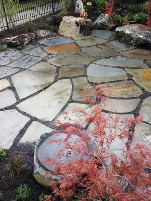 Naturalistic Entry Courtyard — Landscape Construction project by Orion Rockscapes