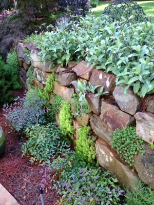 Outdoor Expressions - Sidewalk & Pathway Installation in Canton, GA