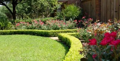 Palm Gardens - Complete Landscape Specialists - Landscape Construction in Dallas, TX