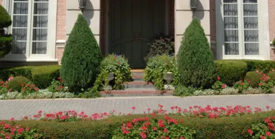Residential Landscape — Landscape Construction project by Palm Gardens - Complete Landscape Specialists