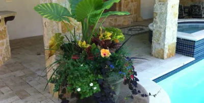 Palm Gardens - Complete Landscape Specialists - Landscape Construction in Dallas, TX