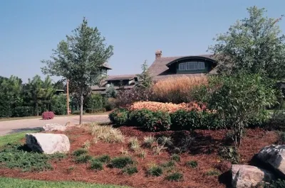 Palmetto Coastal Landscaping & Hardscapes - Garden Remodeling in Hilton Head Island, SC