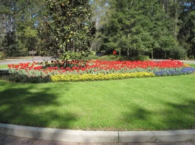 Palmetto Coastal Landscaping & Hardscapes - Garden Remodeling in Hilton Head Island, SC