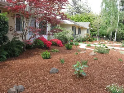 Menlo Park Lawn Replacement — Landscape Construction project by Paradise Garden & Landscape