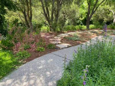 Paradise Garden & Landscape - Tree & Shrub Care in San Jose, CA