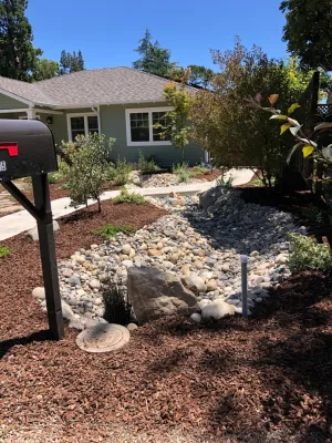 Paradise Garden & Landscape - Tree & Shrub Care in San Jose, CA