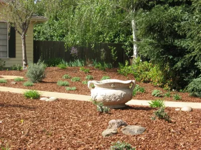 Paradise Garden & Landscape - Tree & Shrub Care in San Jose, CA