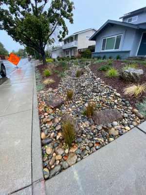 Paradise Garden & Landscape - Tree & Shrub Care in San Jose, CA