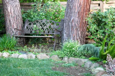 Pazmany Bros. Landscaping - Tree & Shrub Care in Los Altos, CA