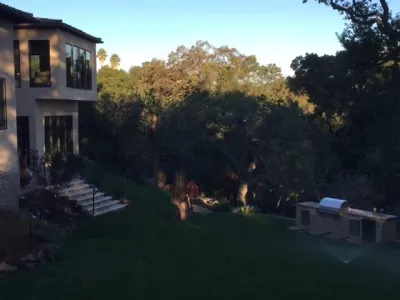 Pazmany Bros. Landscaping - Tree & Shrub Care in Los Altos, CA