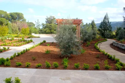 Pazmany Bros. Landscaping - Tree & Shrub Care in Los Altos, CA