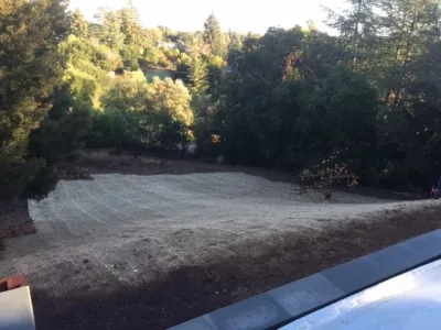 Pazmany Bros. Landscaping - Tree & Shrub Care in Los Altos, CA