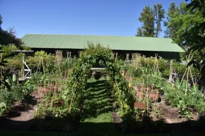 Penning Landscapes - Tree & Shrub Care in Napa, CA