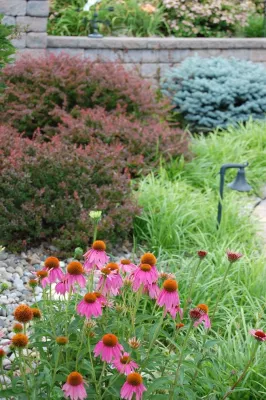 v2013 ALE: Residence on Fairfax by Pennsylvania Landscape & Nursery Association