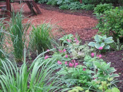 u2014 ALE: Fishers Woodland Garden by Pennsylvania Landscape & Nursery Association