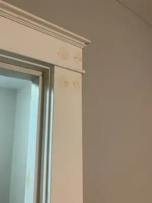 Canyon Contracting LLC - Insulation Installation in Mcdonald, PA
