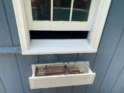 Soffit Window Repair — Home Renovation & Remodeling Services project by The Carpenters Son General Contracting L.L.C.