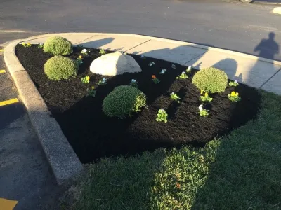 Penny Hill Lawn & Landscape - Tree & Shrub Care in Wilmington, DE